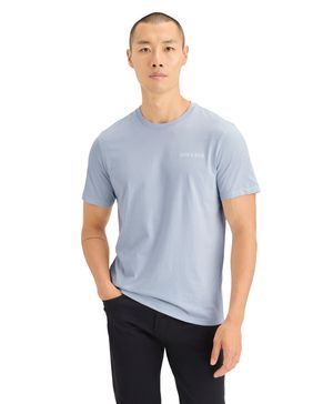 Polera Graphic Tee Slim Fit Arctic Ice